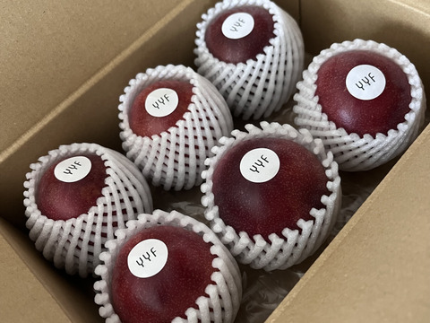 お試し小ロット！パッションフルーツ　6個入り