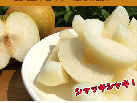 【訳あり 約3㎏】梨（南水 ） 長野県産の甘い品種です　9月下旬から出荷 #NNN0B030