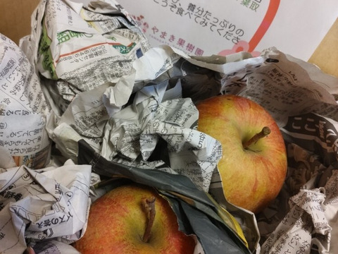 加工用に！山形高畠産葉取らずふじりんご🍎😋小玉や色薄いりんご🍎でも甘いです。ふじりんご5キロ箱バラ詰め😊