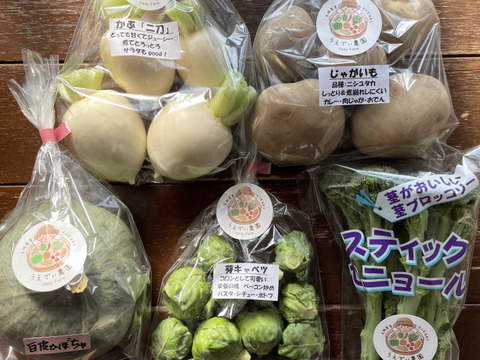 【母の日】濃甘！野菜セット3種類×2倍量 農薬・化学肥料不使用♪個包装【母の日ギフト】