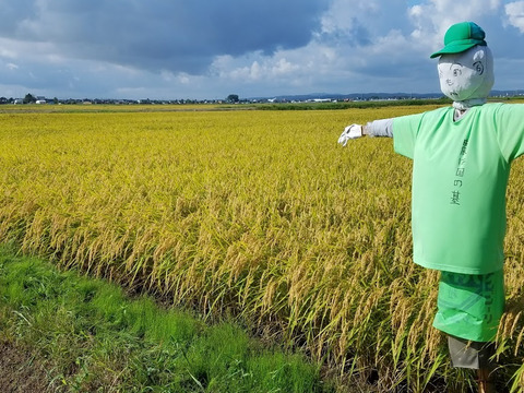 おかずのいらないコシヒカリ「つばめ返し」
