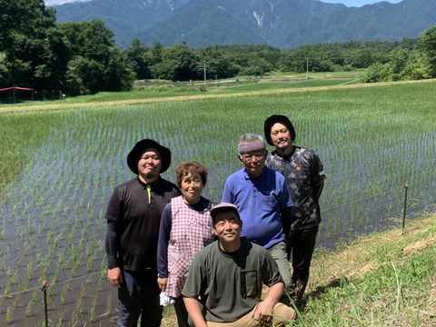 【令和7年産・新米】10月下旬～発送予定！幻の米【農林48号】白米・10kg　特別栽培米　こぴっと米