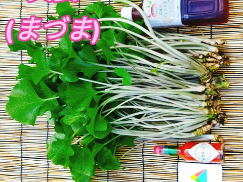 【幻⁉真妻(まづま)】葉わさび(上芽)【1kg】訳あり お得 お試し おまかせ
