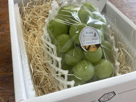 マスカットジパング 1房(700g以上)（岡山県産・種なし）