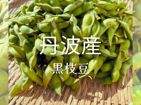 丹波産黒枝豆‼️【本黒枝豆はこの時期しか食べれません‼️】1kg入‼️
