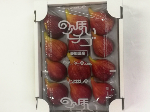 【厳選】朝採れ甘熟イチジク（桝井ドーフィン）