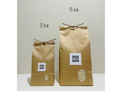 新米　コシヒカリ　宮崎県産　５キロ