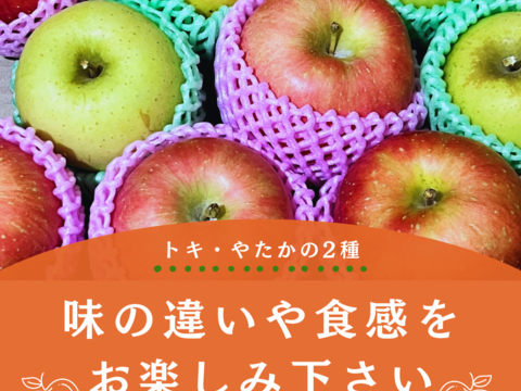 【りんご食べ比べセット】トキ やたか りんご 3kg 採れたて直送 リンゴ 美味しい ギフト 家庭用 美味しいりんご おすすめ 果実 フルーツ ツガル お取り寄せフルーツ お試し 青リンゴ 黄色りんご