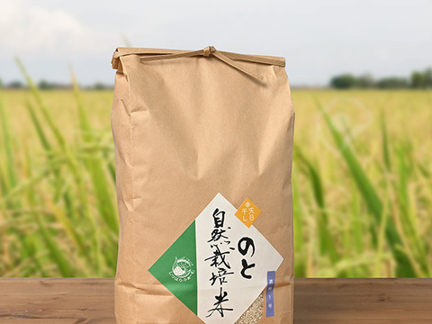 【令和5年度収穫米】 のと自然栽培米 プリンセスサリー 白米 5キロ