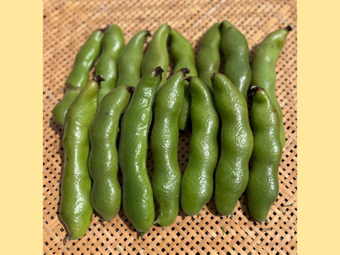 初夏の旬！🫛✨オーガニック空豆　1kg 
Organic Fava beans 【有機JAS認証取得】