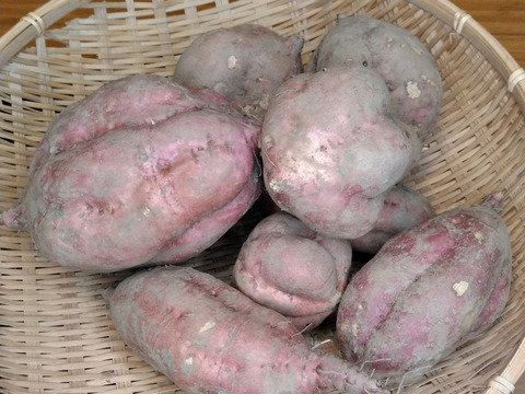 【数量限定】IdeaFarmのねっとり甘い安納芋　 4㎏