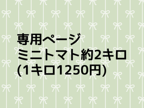C様専用ページ　ミニトマト約2キロ　常温便