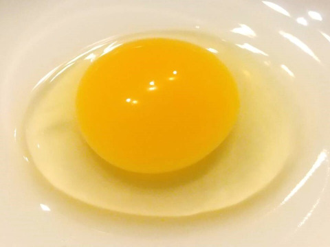 【サステナブルな地域循環型セット】農薬不使用野菜5種と国産飼料の放牧卵「君は太陽」10個