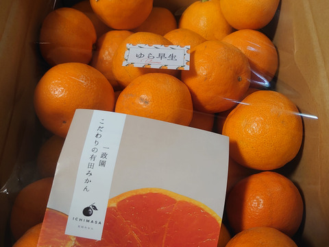 【ゆら早生】箱込み3キロ　Sサイズ 家庭用　有田みかん　極早生　低農薬