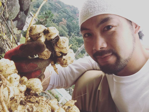 【熱海産♨️農薬化学肥料不使用】白菊芋(キクイモ)約4kg入り