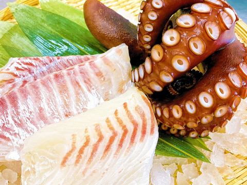 天草産 真鯛とタコのお刺身セット【特殊冷凍】