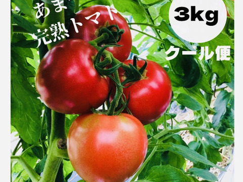 今年も販売❗️完熟トマト3キロ箱でお届けします❗️
