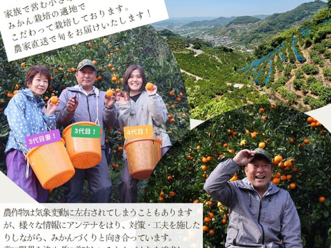 農家直送！しらぬい　2.5kg  【平武農園】〜蛍飛ぶ町から旬の便り〜　和歌山｜有田｜田口｜ギフト