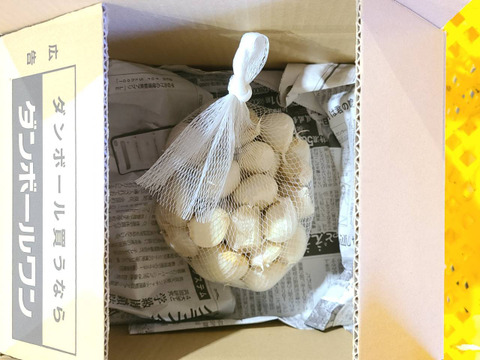 濃厚で甘い！大粒福地ホワイト六片にんにく 1kg（農薬・化学肥料不使用／バラ）