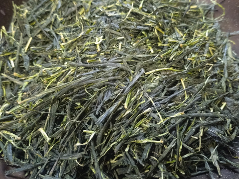 かぶせ茶（2026）やぶきた 加茂自然農園のお茶　お茶・茶葉　農薬・肥料不使用　緑茶