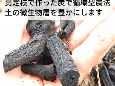 初春限定｜石窯焼き芋1kg＋プレミアム干し芋セット（熟成シルクスイート）