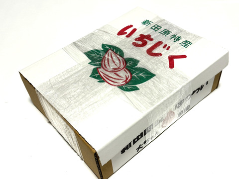 【中古】 不思議ないちじく 66050-78-