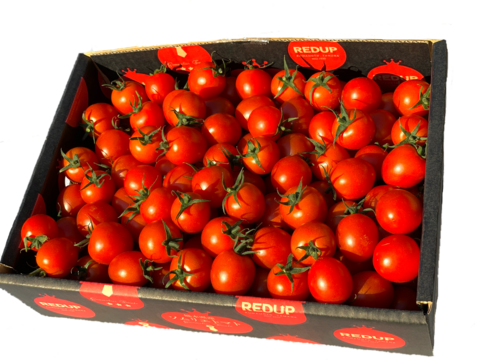 【塩トマトのようなフルーツトマト】ソムリエミニトマト　ダイヤ２kg（９０玉～１５０玉）