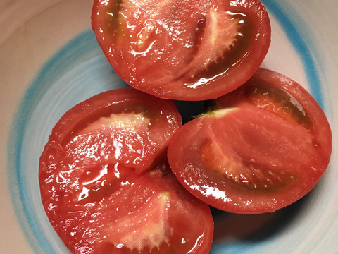 【順次発送:3kg】樹上完熟！美味しい桃太郎トマト大きさ色々