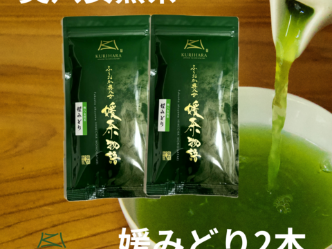 八女茶産直　旨みとコクのお茶　奧八女煎茶　媛みどり100g2本セット