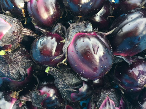 魚沼の定番！つたえおばあちゃんのなす漬け(６袋)