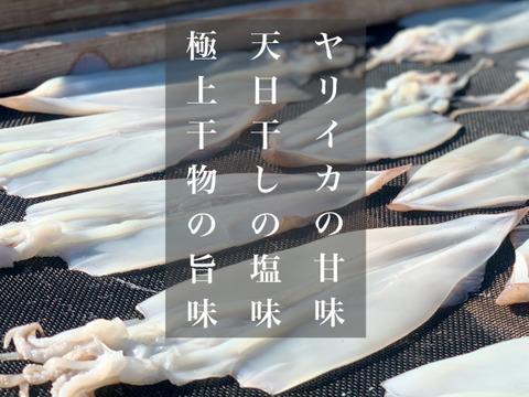 イカ４種☆豪華食べ比べセット