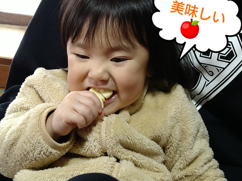 *雪ん子*全玉蜜入り◆訳あり◆完熟ふじりんご約4kg＆りんごジュース1本