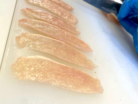 匠の技！食感活かした薄造り　さつま極み鶏大摩桜鶏刺し「えんがわ/薄造り」70ｇ【冷凍】