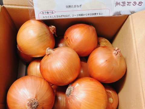 大地の恵み！淡路島完熟玉ねぎ🧅【シャーロットオニオン　輝玉（キラ玉✨）】(3kg)