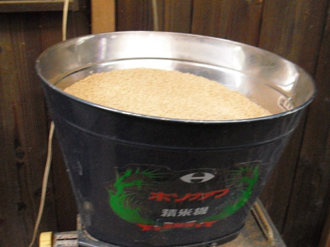 令和５年新米【合鴨が育てたお米】 白米１５ｋｇ農薬化学肥料不使用