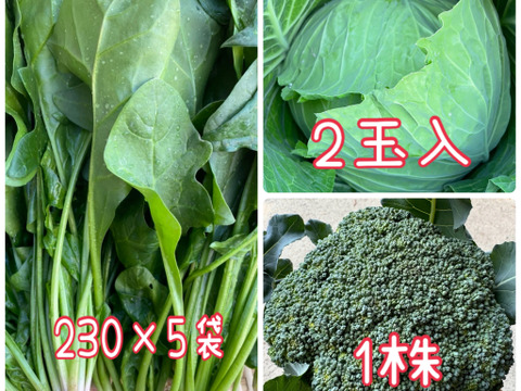 新商品‼️ほうれん草をたっぷり食べて欲しいお野菜セット‼️キャベツ、ブロッコリー入‼️
