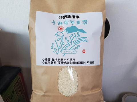 【令和6年産 】"特別価格" 特別栽培米 ササニシキ「うみ幸やま幸」25kg前後 精米 みえの安心食材認定