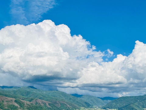 長野県松本産　ぶどう【シャインマスカット】　2房入（約1キロ）