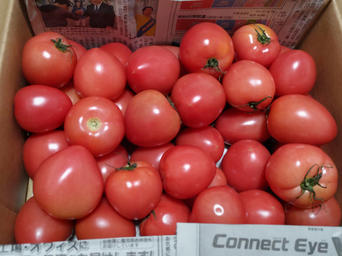 新鮮なミニトマトと大玉トマト 徳島県・阿波市産 トマト3種食べ比べセット 4kg【MKファーム