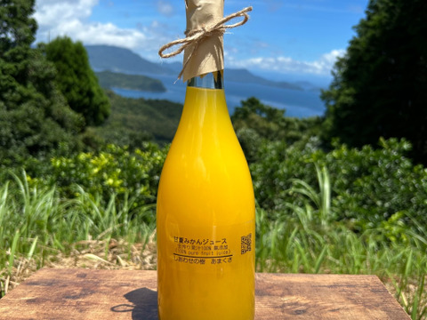 伊藤寛子様ご予約商品　箱込み2kg 河内晩柑（ジューシーオレンジ）栽培期間中に農薬、化学肥料不使用　と【熊本県天草特産】そのまま飲んだらもったいない！無添加甘夏ジュース果汁100%