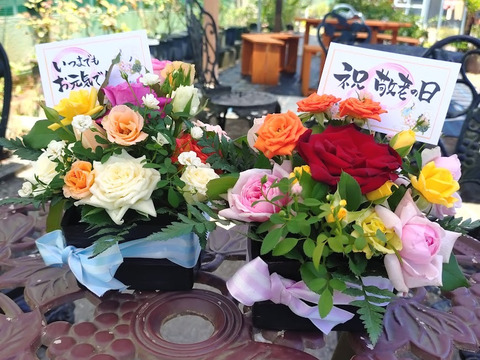 【敬老の日ギフト】大人可愛い黒ポット薔薇のアレンジメント