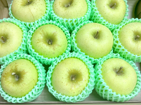 トキりんご 3kg 採れたて直送 リンゴ 美味しい ギフト 家庭用 美味しいりんご おすすめ 果実 フルーツ ツガル お取り寄せフルーツ お試し 青リンゴ 黄色りんご