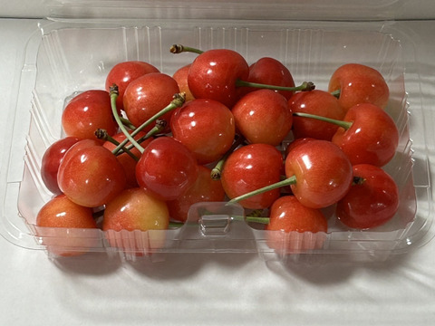 北海道仁木町産　佐藤錦720g(180g×4p)