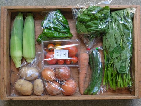 【農薬不使用】夏の高原野菜セット Lサイズ【９～１０品目】