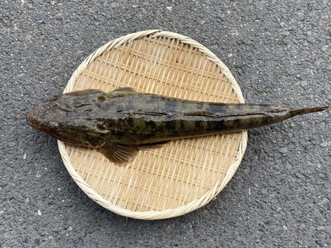 Image Cdn Tabechoku Com Crop W 480 H 480 Cw 480