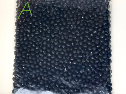 きてらのくろくろ黒大豆-500g-B品-農薬不使用