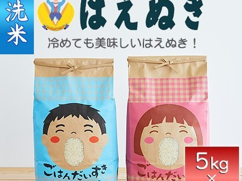 山形県産　はえぬき　無洗米　10kg