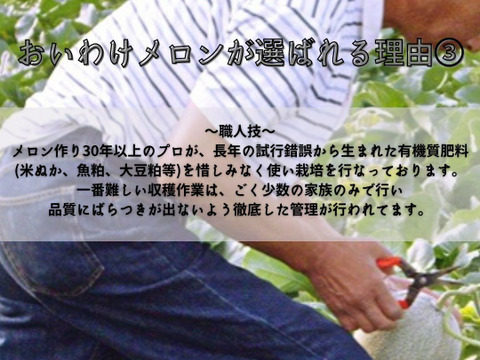 【北海道産】おいわけメロン　糖度16度以上　中玉　１．５キロ前後×２玉