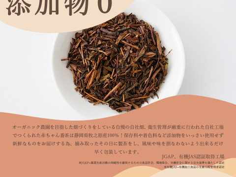 【メール便】太陽さんさん 赤ちゃん番茶 5g×50p 静岡 牧之原