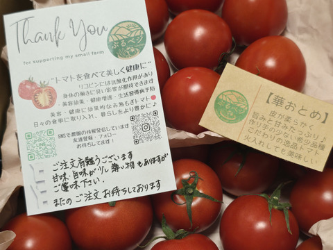 旨みと甘み♪香りと味を楽しむ贅沢なトマト🍅【華おとめ】１kg箱